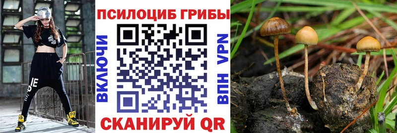 Галлюциногенные грибы прущие грибы Зеленодольск